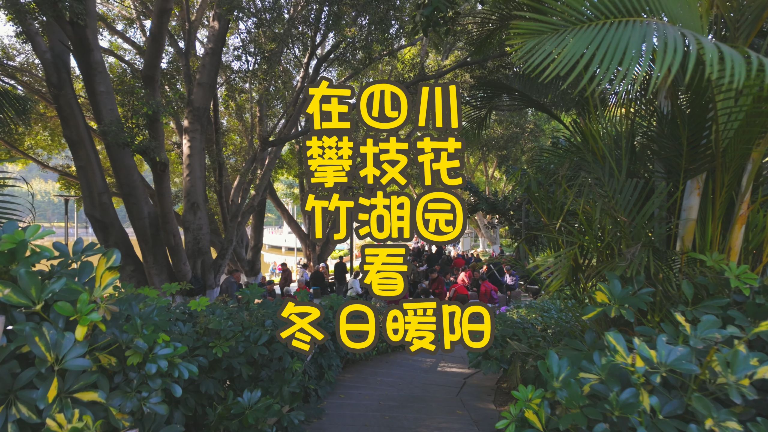 在四川攀枝花竹湖园看冬日暖阳