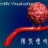 血管肿瘤模型的材质【3DMAX渲染篇】