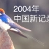 【观鸟日记·线尾燕】传说中的中国新记录有多萌？