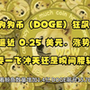 狗狗币（DOGE）狂飙逼近 0.25 美元，涨势是要一飞冲天还是瞬间腰斩