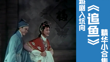 【<em class="keyword">越剧</em>入坑向】<em class="keyword">王文娟</em>《追鱼》精彩片段合集【一定要看到最后吼】【附单段剪辑】