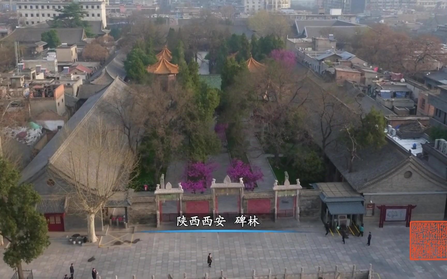 书法纪录片【翰墨中华】柳公权玄秘塔碑