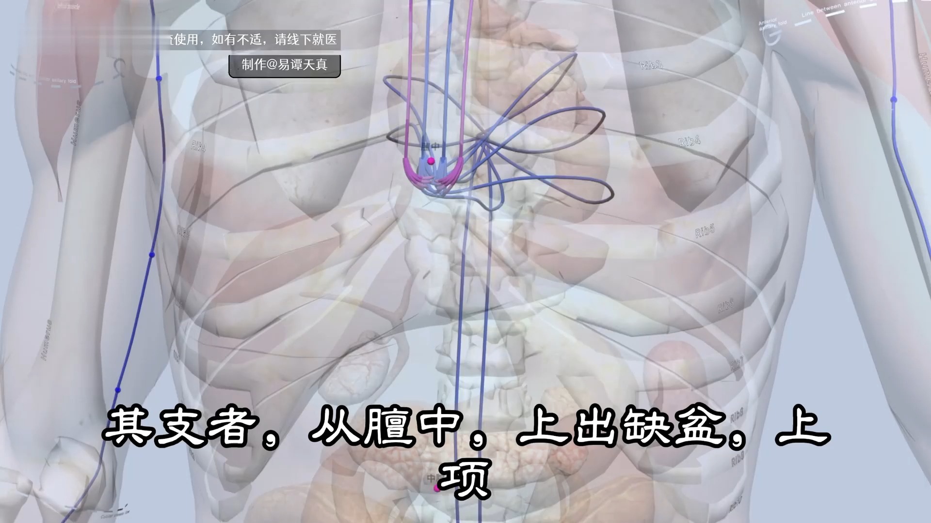 第十集：手少阳三焦经