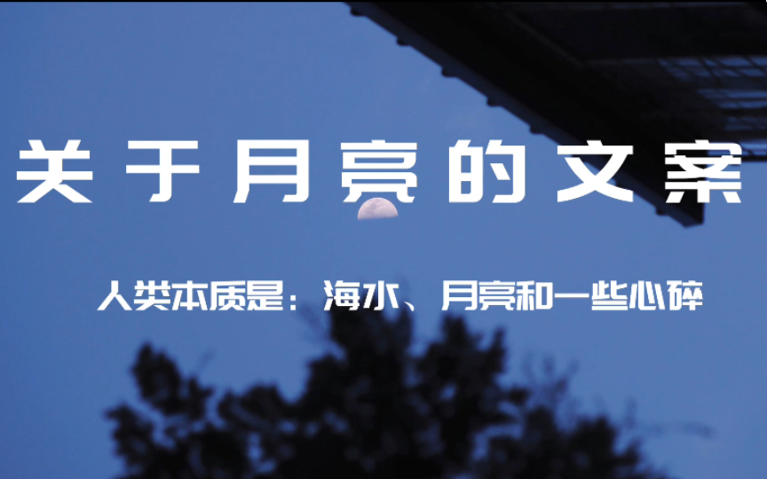 【月亮文案】“我坐在石头上想你的时候,只有月亮经过”哔哩哔哩bilibili