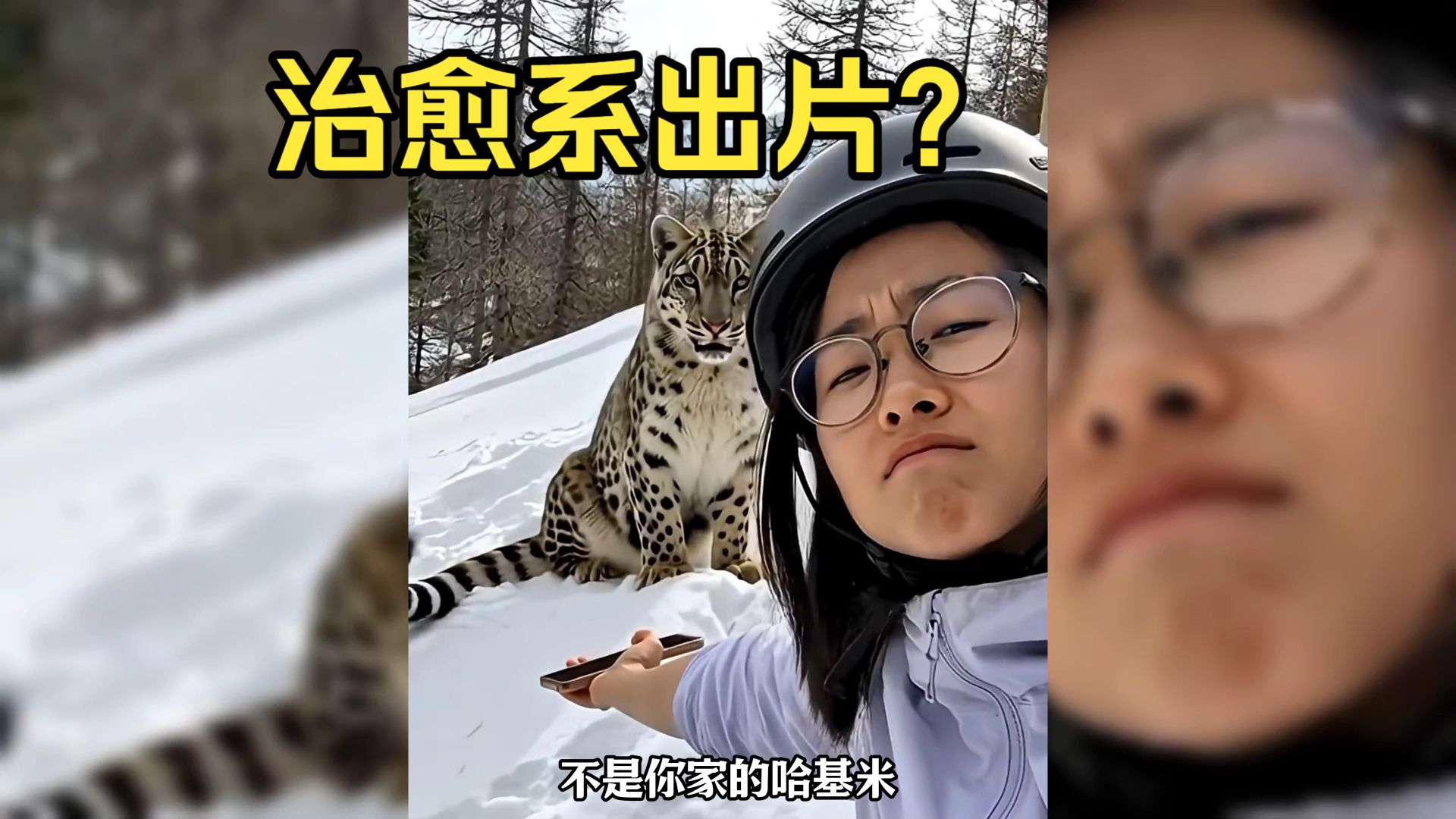 古法雪豹