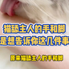 猫舔主人的手和脚，是想告诉你这几件事