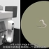 【精选生物动画】基本光学显微镜(公众号：生物全解)