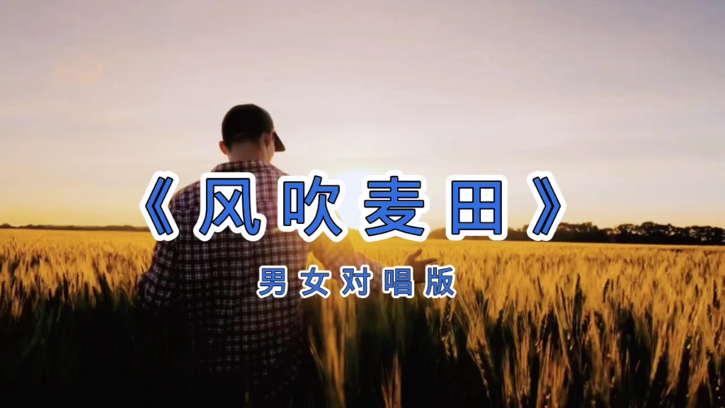 《风吹麦田》男女对唱版，浪漫田野里的动人旋律。