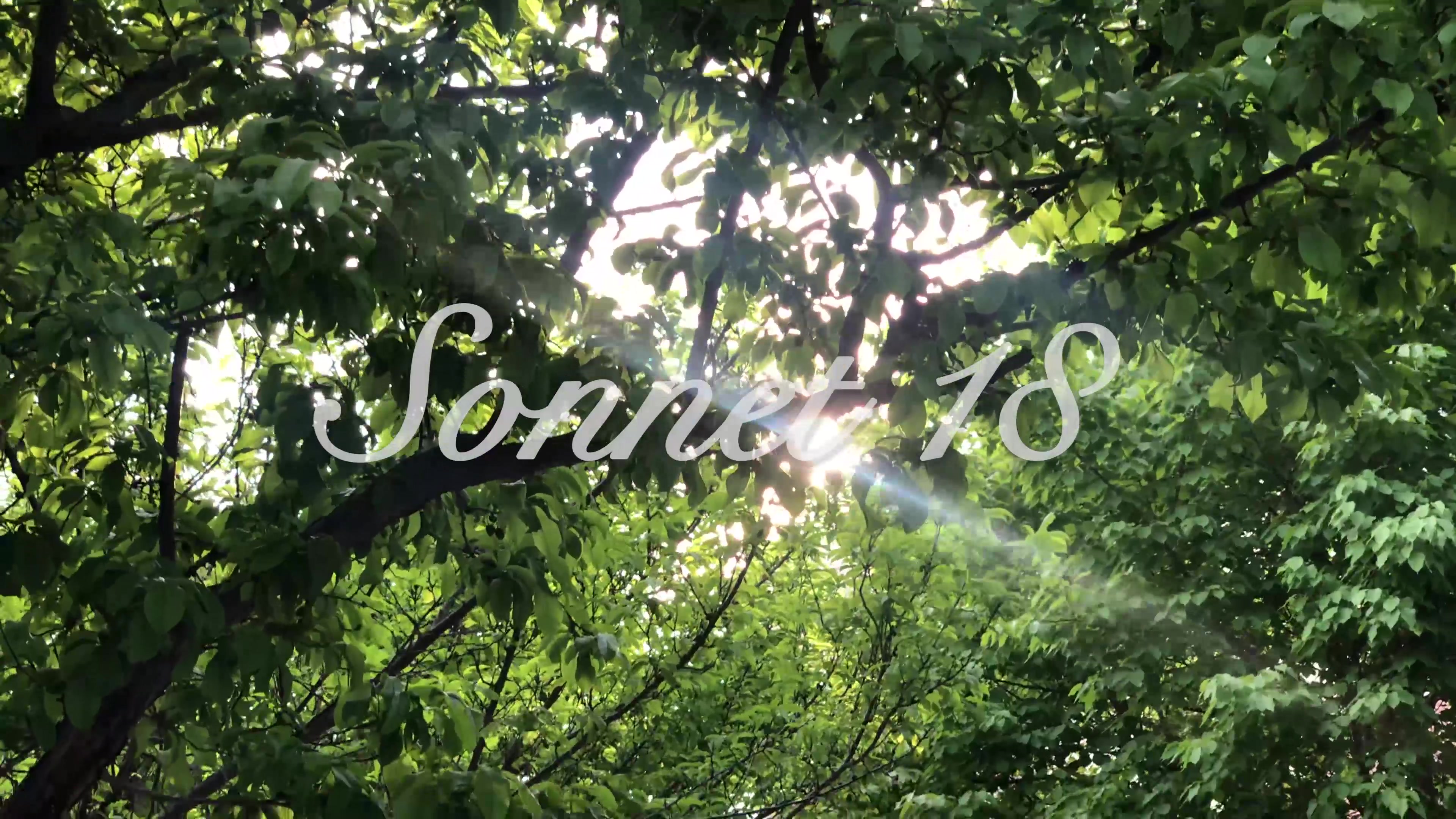 sonnet 18 by william shakespeare sonnet 18 by william shakespeare