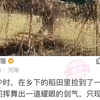 年少时的招式