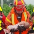 小心翼翼！消防员抱被救婴儿有多温柔