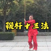 西北鞭杆十三法