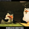 【评论区看正片】企鹅开飞机你敢坐吗？ #动画 #动画解说 #企鹅