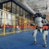 Boston Dynamics最新视频，双足机器人的稳定性和灵活性强到可怕~