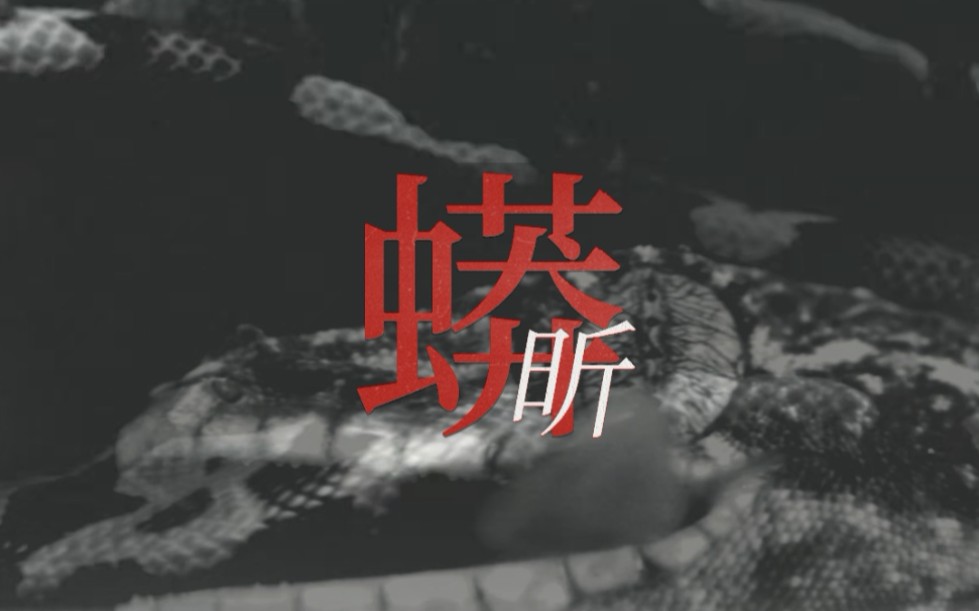 国乒性转74蟒中昕你逃不掉的预告慎涉及龙蟒獒蟒樊昕