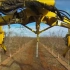 澳大利亚核2000亩核桃园，全程机械化，剪树枝机器人很赞