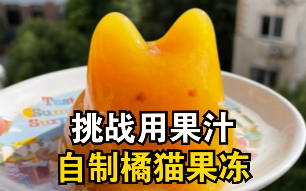挑战用果汁自制橘猫果冻！