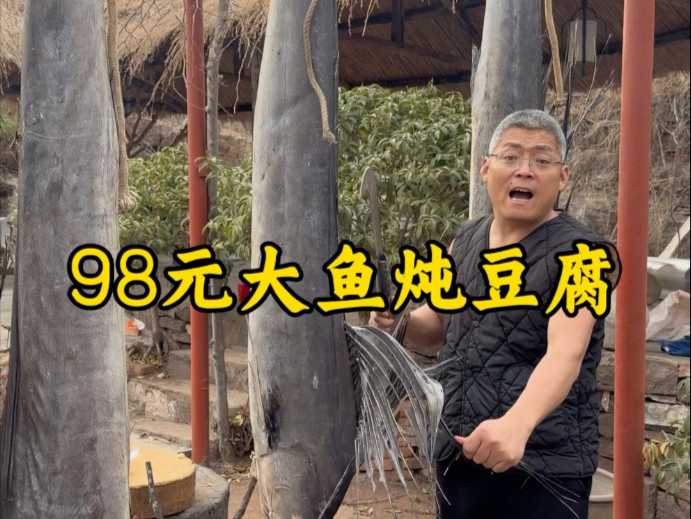 98元大鱼炖豆腐