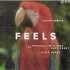【Calvin Harris联手Katy Perry】新单《Feels》试听首播！
