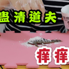 清道夫怕痒吗？把整蛊痒痒粉倒在清道夫上，看看它有什么反应
