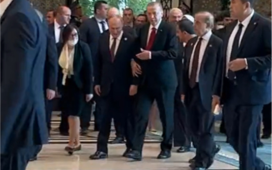 上海合作组织峰会上俄罗斯总统普京和土耳其总统埃尔多安的哥俩儿好