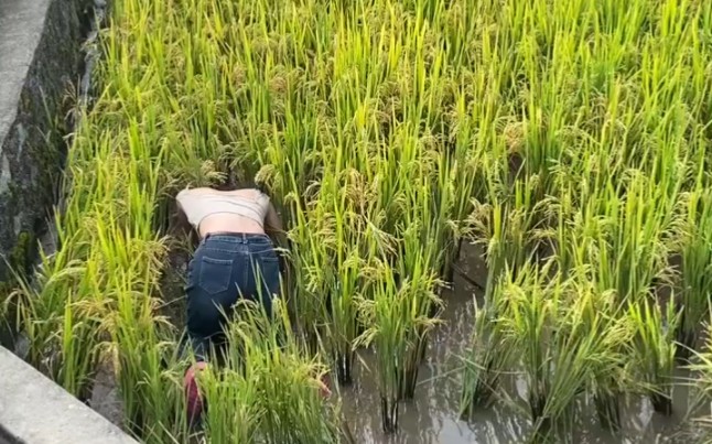 Let's see who's laughing.