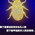 金甲虫