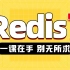 【动力节点】Redis缓存教程，全网最新最全redis入门到高级，redis百科大全