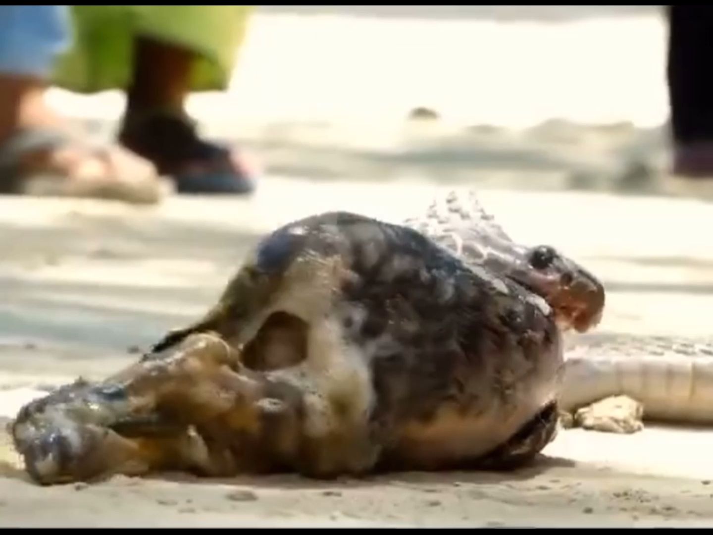 You're too greedy. If you can't swallow it, you'll have to spit it out.