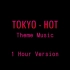 Tokyo Hot 主题曲1小时加长版