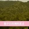 广西壮族自治区梧州市 《除夕日出现的恶灵