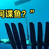 钓个鱼也能抓到间谍吗