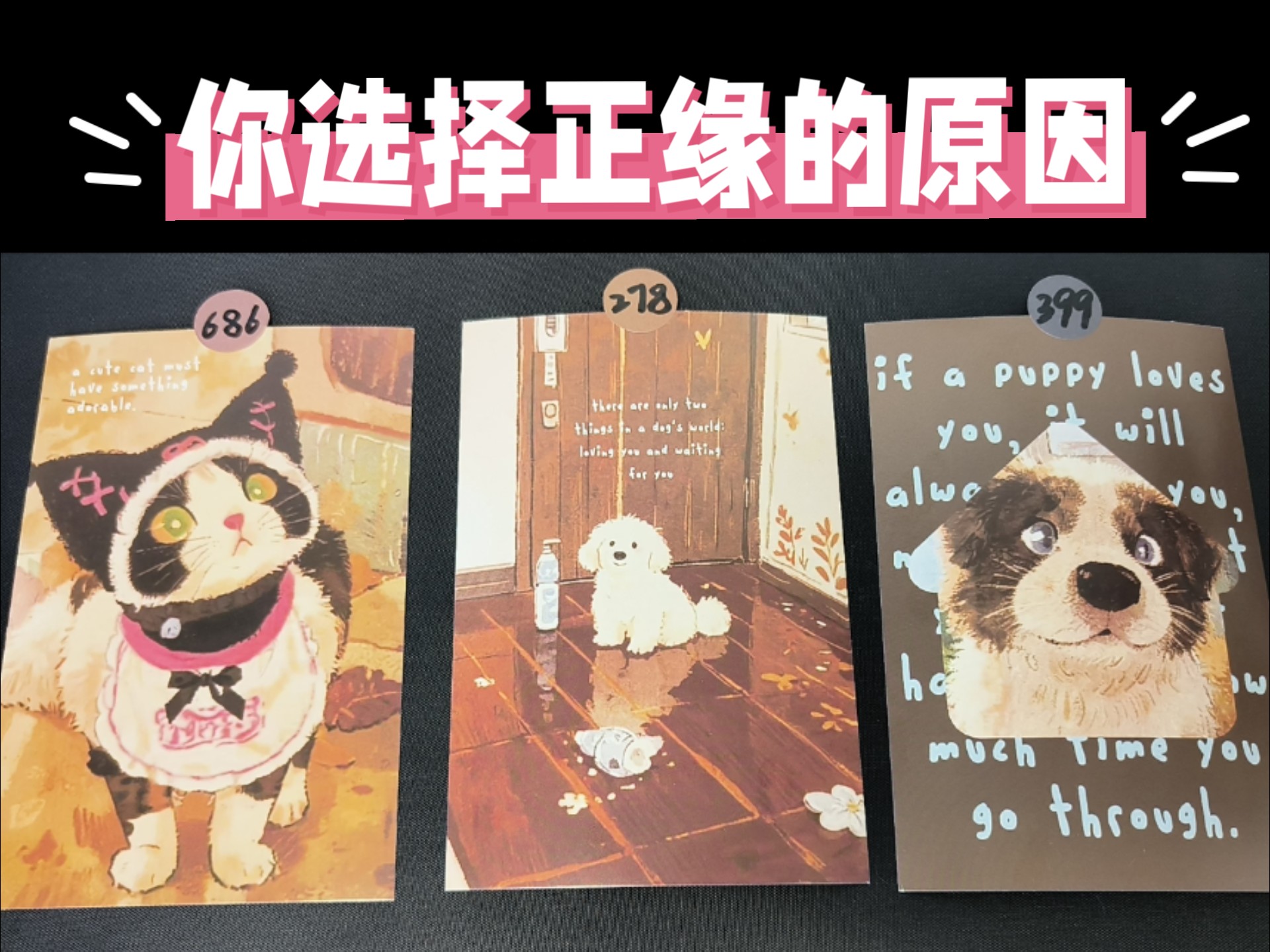 占卜你选择正缘的原因