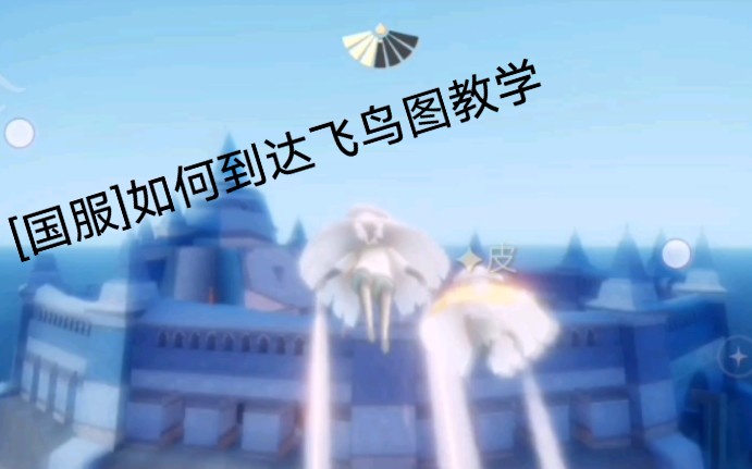 光遇国服手把手教你如何去光遇最美地图千鸟图