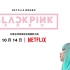 BLACKPINK：照亮天空 Blackpink: Light Up the Sky (2020) 中文字幕【远鉴字幕组