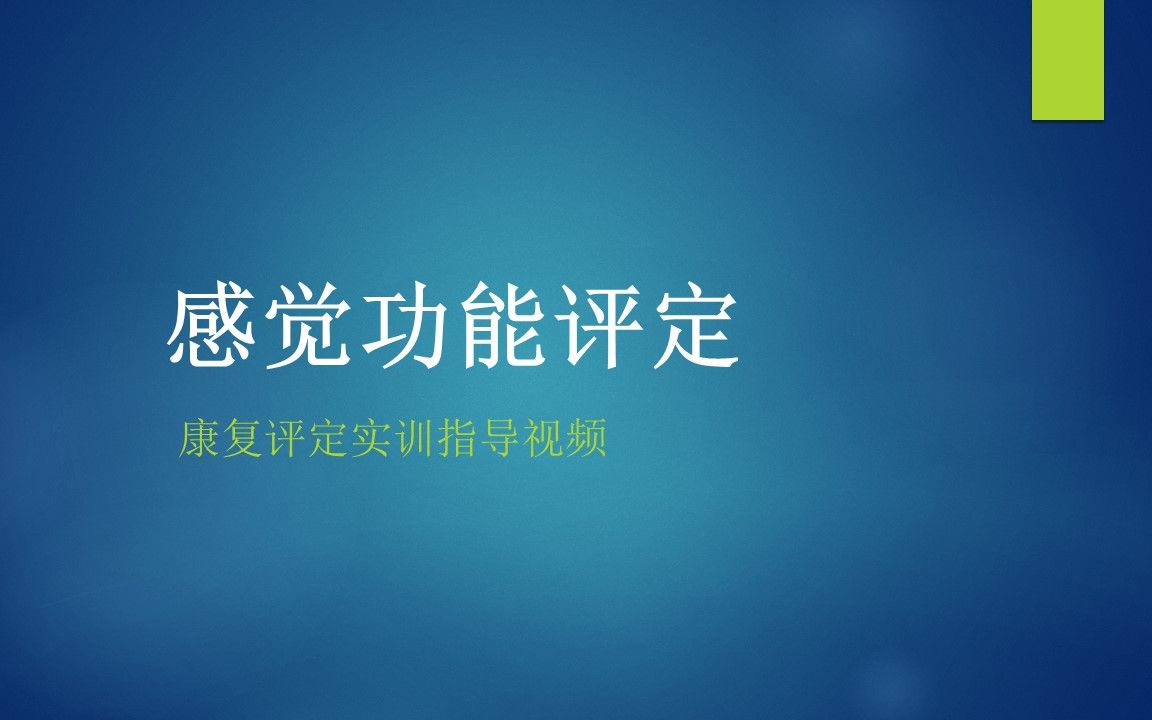 九、感觉功能评定