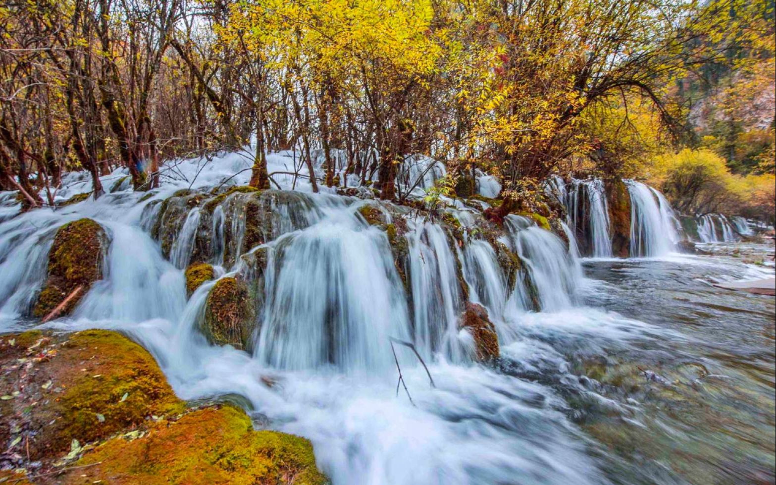九寨沟“水景之王”，箭竹海瀑布，最值得打卡的景点之一