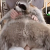 人 兽 之 恋