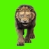 狮子特效绿幕素材分享