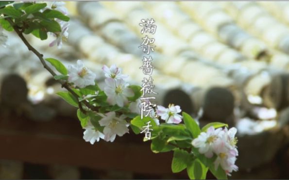 《满架蔷薇一院香》东宫番外 选角预告【刘昊然【张慧雯【今夕