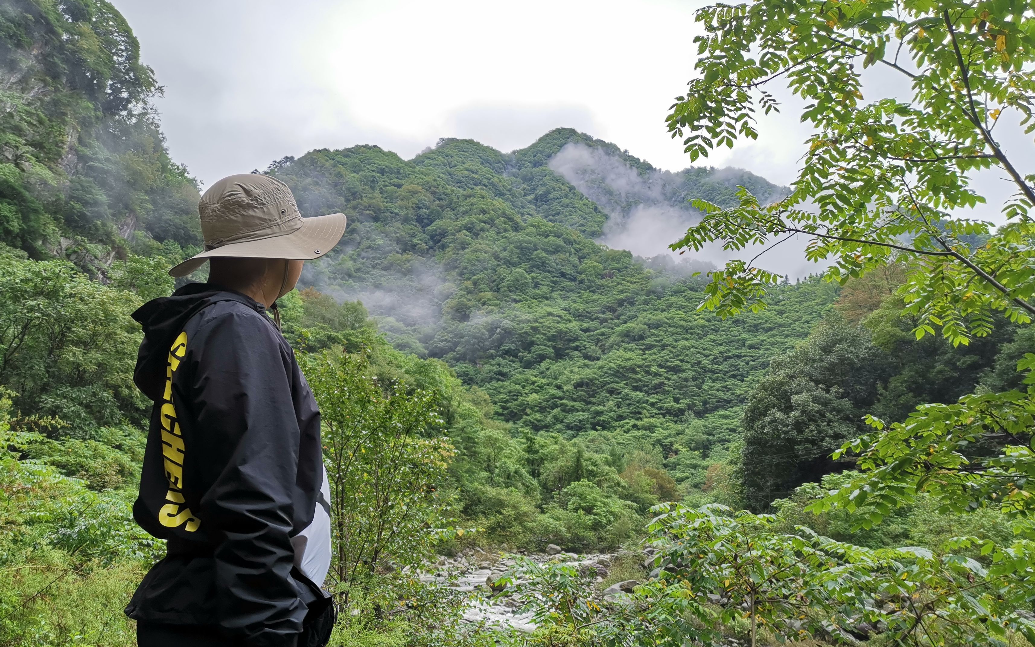 鬼谷君带你看阿里爸爸如何“云守护”野生动物