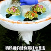 月夕之缘