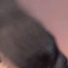 女主播热辣舞姿