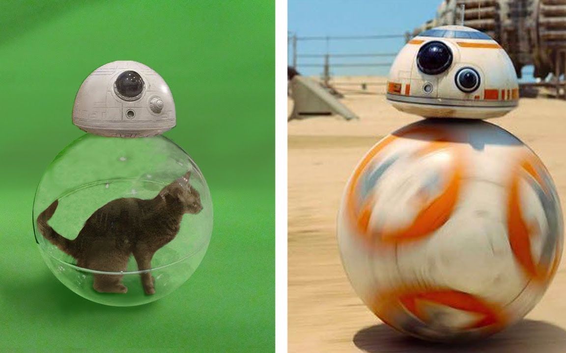 电影特效前：惊了！BB-8的动力竟然是只猫？