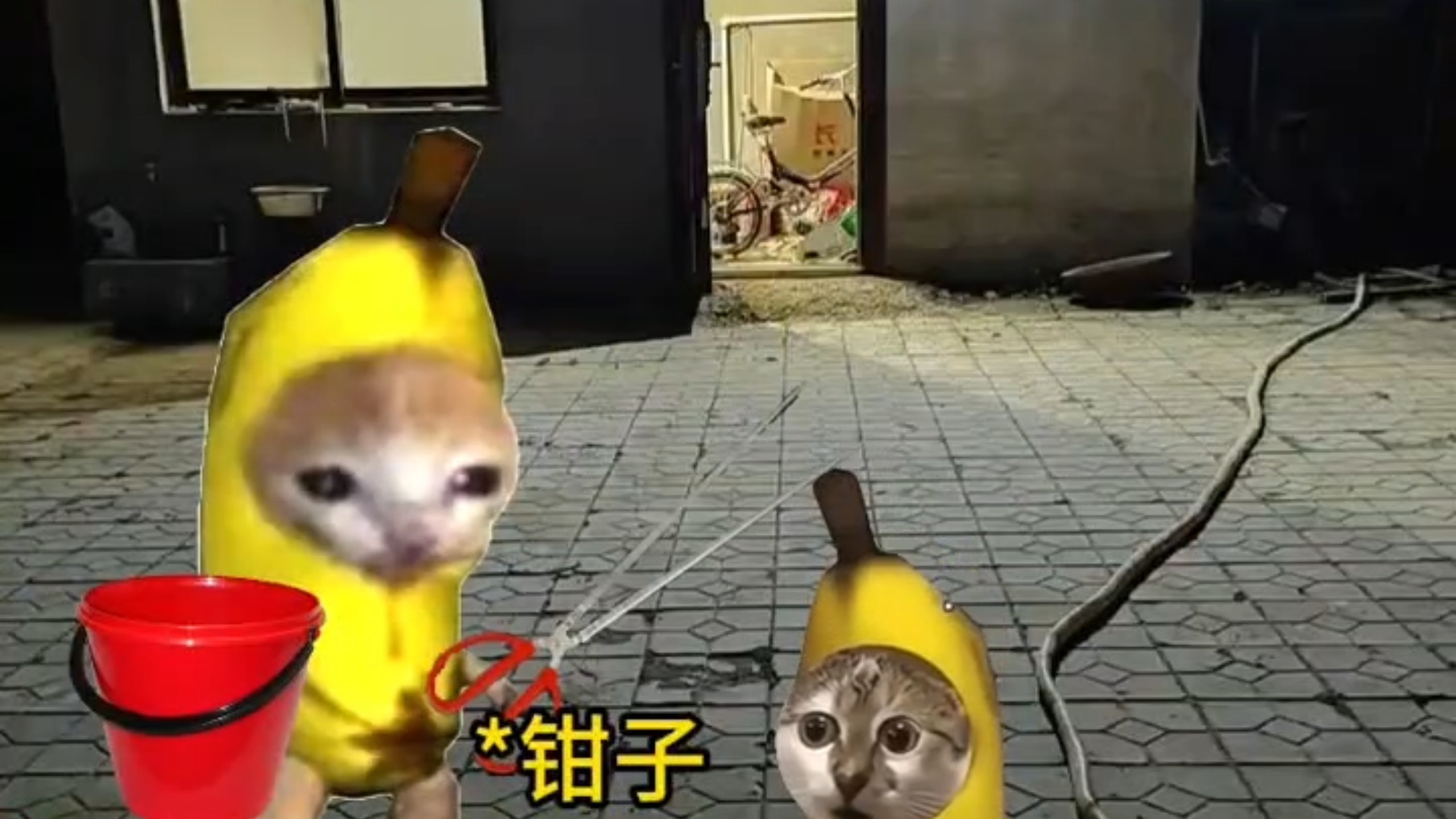 你小时候抓过吗？ #南方小孩 #抓黄鳝 #猫meme