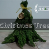 【手工】圣诞气氛组——Christmas Tree