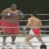 【英文无字幕】169磅格斗士对抗600磅相扑手