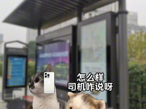 当顺风车的司机说他的车超级大时