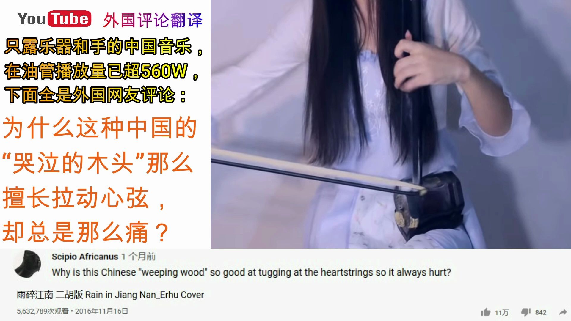 外国网友评论油管560万播放量中国乐曲，“哭泣的木头”动人心弦