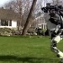 见识下最新的仿生机器人，机器人会是人类终结者吗？